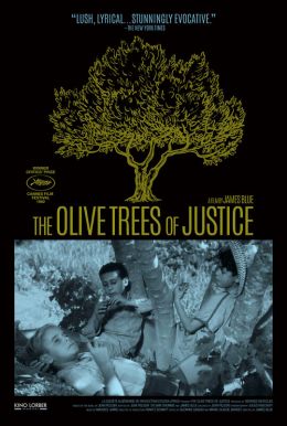 The Olive Trees Of Justice Poster