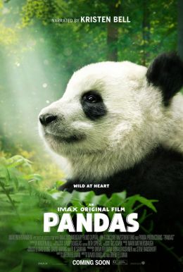 Pandas HD Trailer