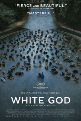 White God HD Trailer