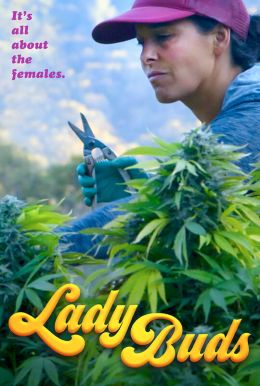 Lady Buds Poster