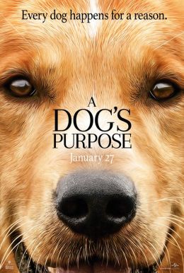 A Dog's Purpose HD Trailer
