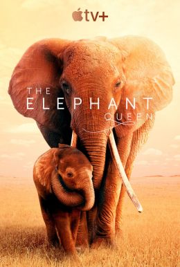 The Elephant Queen HD Trailer