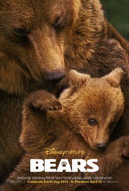 Bears HD Trailer