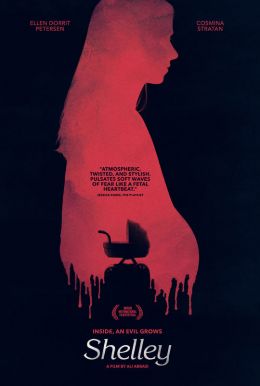 Shelley Poster