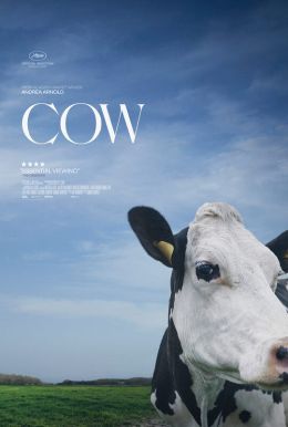 Cow HD Trailer