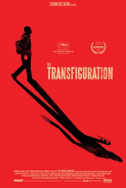 The Transfiguration Poster