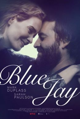 Blue Jay HD Trailer
