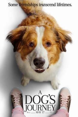 A Dog's Journey HD Trailer