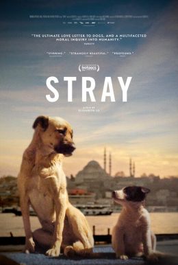 Stray HD Trailer