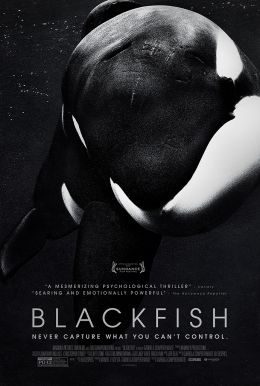 Blackfish HD Trailer