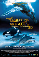 Dolphins & Whales Tribes of the Ocean 3D Poster
