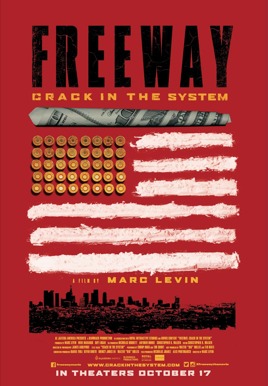 Freeway: Crack In The System Poster