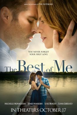 The Best Of Me Poster