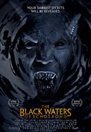 The Black Waters Of Echo's Pond Poster