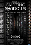 These Amazing Shadows Poster